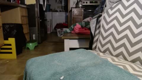 Snapshot of slum_daddy chatting on 11.30.25 Slum Daddy online show from 11.30.25