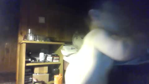 PIST PIST online show from 10.09.25