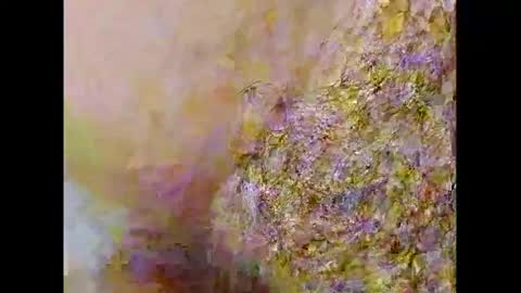 Snapshot of smallhairyuncut chatting on 02.26.25 Small Hairy Uncut online show from 02.26.25