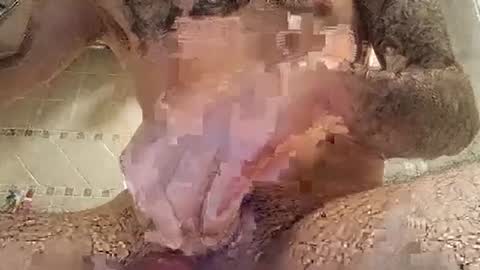 smallone8825 online show from 03.10.25