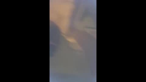 smcock68 online show from 03.03.26