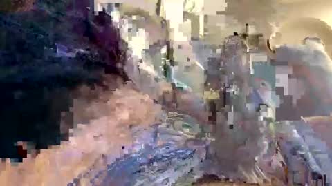 smokingdank online show from 12.18.24