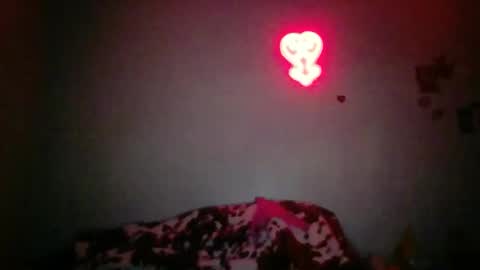 Bambi--Vodka online show from 02.06.26