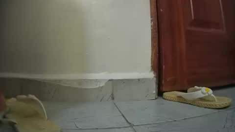 snowbell91 online show from 01.27.25