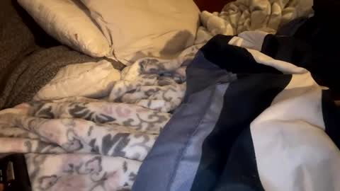 Lets play n party online show from 01.19.26