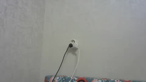 Arthur online show from 12.19.25