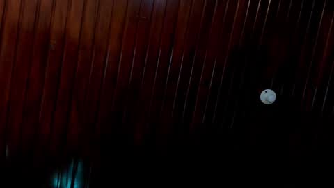 Snapshot of sobigcurvy44 chatting on 12.24.24 leidy online show from 12.24.24