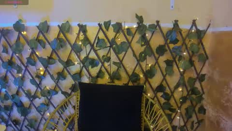 Snapshot of sobigcurvy44 chatting on 12.01.25 leidy online show from 12.01.25