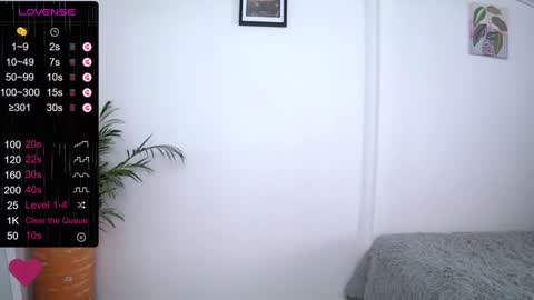 Snapshot of soffi_rousel_ chatting on 01.21.25 soffi_rousel_ online show from 01.21.25