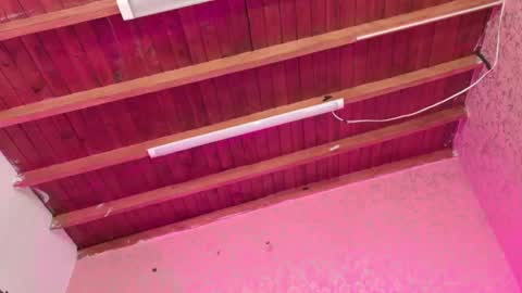 Sofia online show from 11.14.25