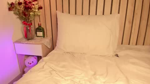 Snapshot of sofiesoft chatting on 10.11.25 Sofie online show from 10.11.25