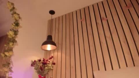 Snapshot of sofiesoft chatting on 10.11.25 Sofie online show from 10.11.25