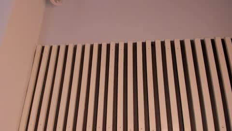 Snapshot of sofiesoft chatting on 11.11.25 Sofie online show from 11.11.25