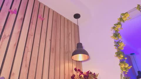 Snapshot of sofiesoft chatting on 11.12.25 Sofie online show from 11.12.25