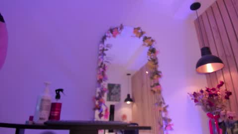 Snapshot of sofiesoft chatting on 11.13.25 Sofie online show from 11.13.25