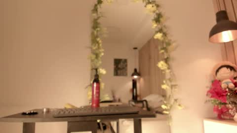 Snapshot of sofiesoft chatting on 01.05.26 Sofie online show from 01.05.26