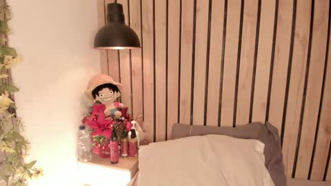 Snapshot of sofiesoft chatting on 01.07.26 Sofie online show from 01.07.26