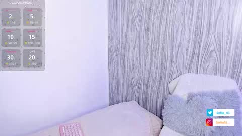 Snapshot of sofiii_03 chatting on 11.13.25 SOFIA online show from 11.13.25