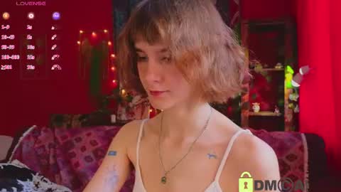 E online show from 07.11.26