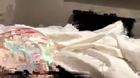 Snapshot of softslickandsweet chatting on 02.04.25 softslickandsweet online show from 02.04.25