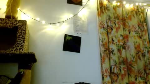 Snapshot of soka_lovers_04_ chatting on 02.19.26 Sofia online show from 02.19.26