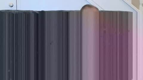 jeff online show from 11.15.25