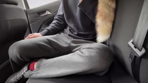 Snapshot of sondages chatting on 02.23.25 Sondages online show from 02.23.25