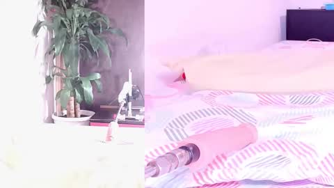 Snapshot of sophialovers01 chatting on 05.16.26 phi online show from 05.16.26