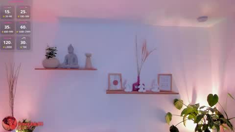 Sofi online show from 05.04.26