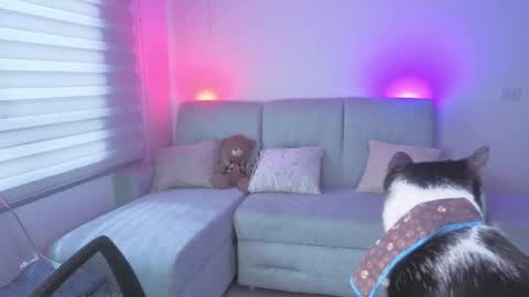 Sophie  online show from 05.25.26