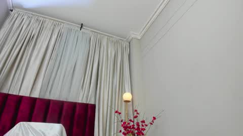 Snapshot of sophiejohnss chatting on 11.28.25 Sophie Johns online show from 11.28.25