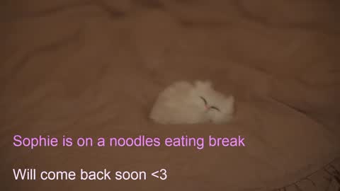 Snapshot of sophiephoria chatting on 02.06.25 Sophie Next stream 3 online show from 02.06.25