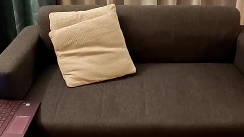 Andy online show from 02.22.26