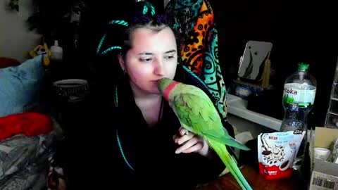 Snapshot of spanking_girls chatting on 06.05.26 Evgenia online show from 06.05.26