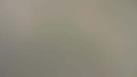 Spartacus online show from 01.10.25