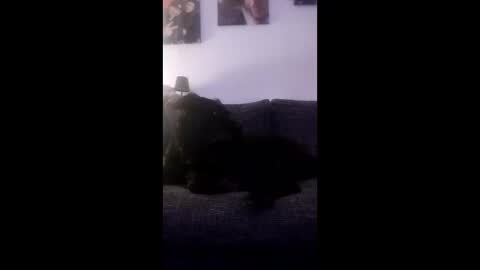 spermaking854897 online show from 03.14.26