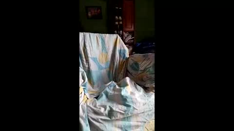 spieguelman online show from 04.17.26