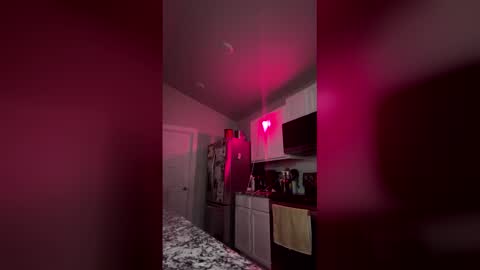 spunspuncam2 online show from 03.17.26