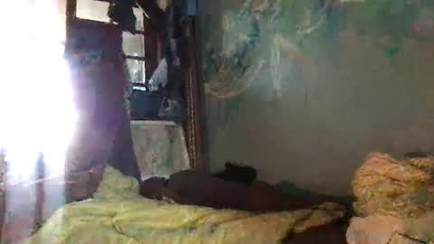 srekos38 online show from 10.07.25