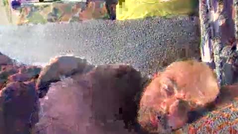 srekos38 online show from 10.10.25