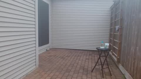 Snapshot of srtxshow chatting on 03.03.25 srtxshow online show from 03.03.25