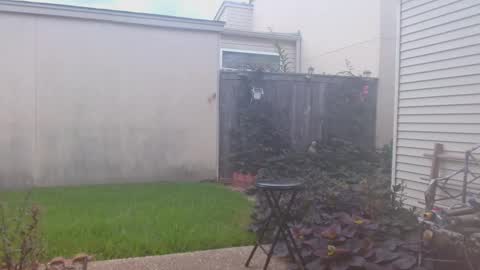 Snapshot of srtxshow chatting on 09.23.25 srtxshow online show from 09.23.25