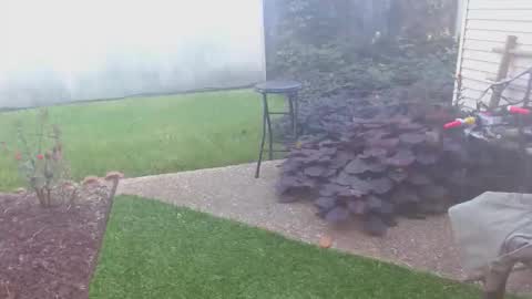 Snapshot of srtxshow chatting on 10.16.25 srtxshow online show from 10.16.25