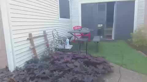 Snapshot of srtxshow chatting on 10.20.25 srtxshow online show from 10.20.25