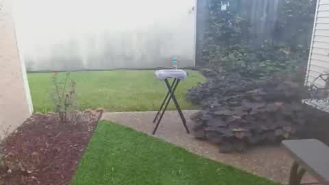 Snapshot of srtxshow chatting on 10.21.25 srtxshow online show from 10.21.25