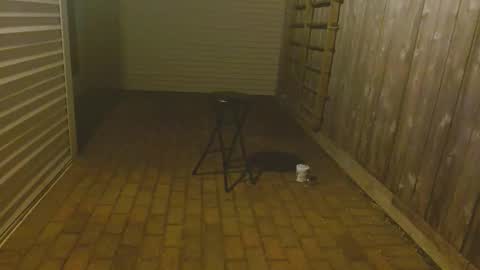 Snapshot of srtxshow chatting on 10.23.25 srtxshow online show from 10.23.25