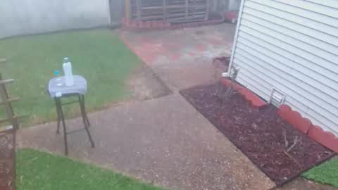 srtxshow online show from 03.08.26