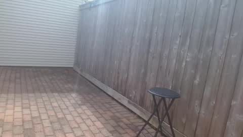 srtxshow online show from 04.15.26