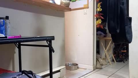 Snapshot of stacytasteme chatting on 11.20.25 Submissive Slut LOVES adoration online show from 11.20.25