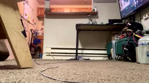 Snapshot of stacytasteme chatting on 02.21.26 Submissive Slut LOVES adoration online show from 02.21.26